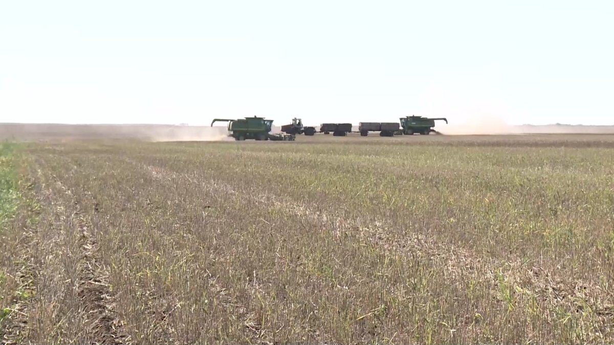 Ауыл дамыса, ахуал жақсарады