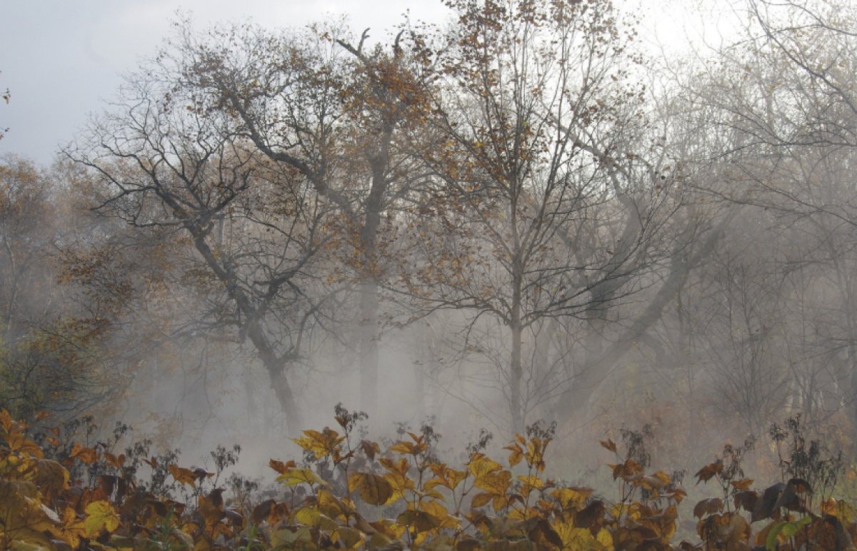 В Казахстане ожидаются дожди с грозами и заморозки до -2°С