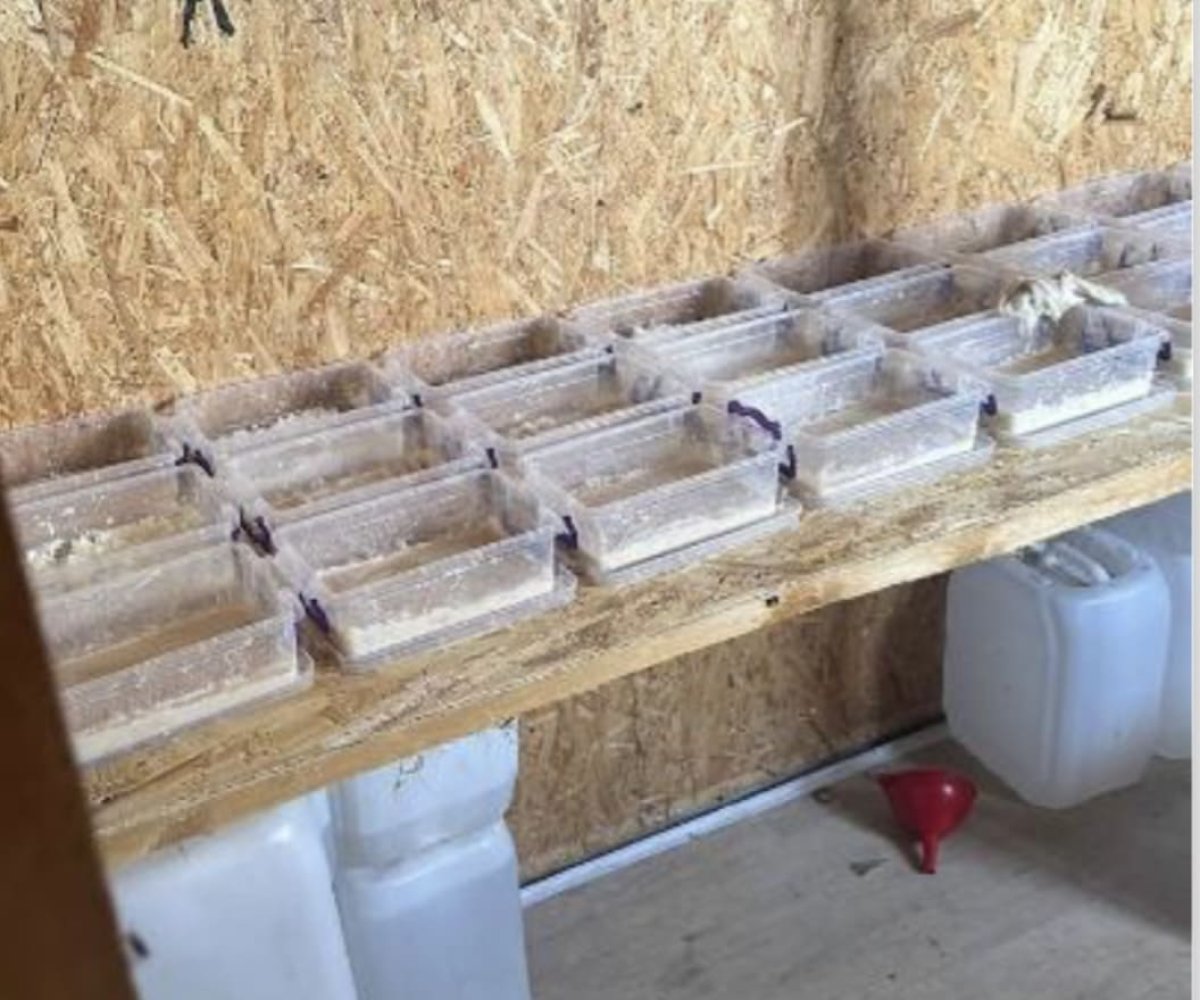 Астанчанка организовала нарколабораторию в контейнере