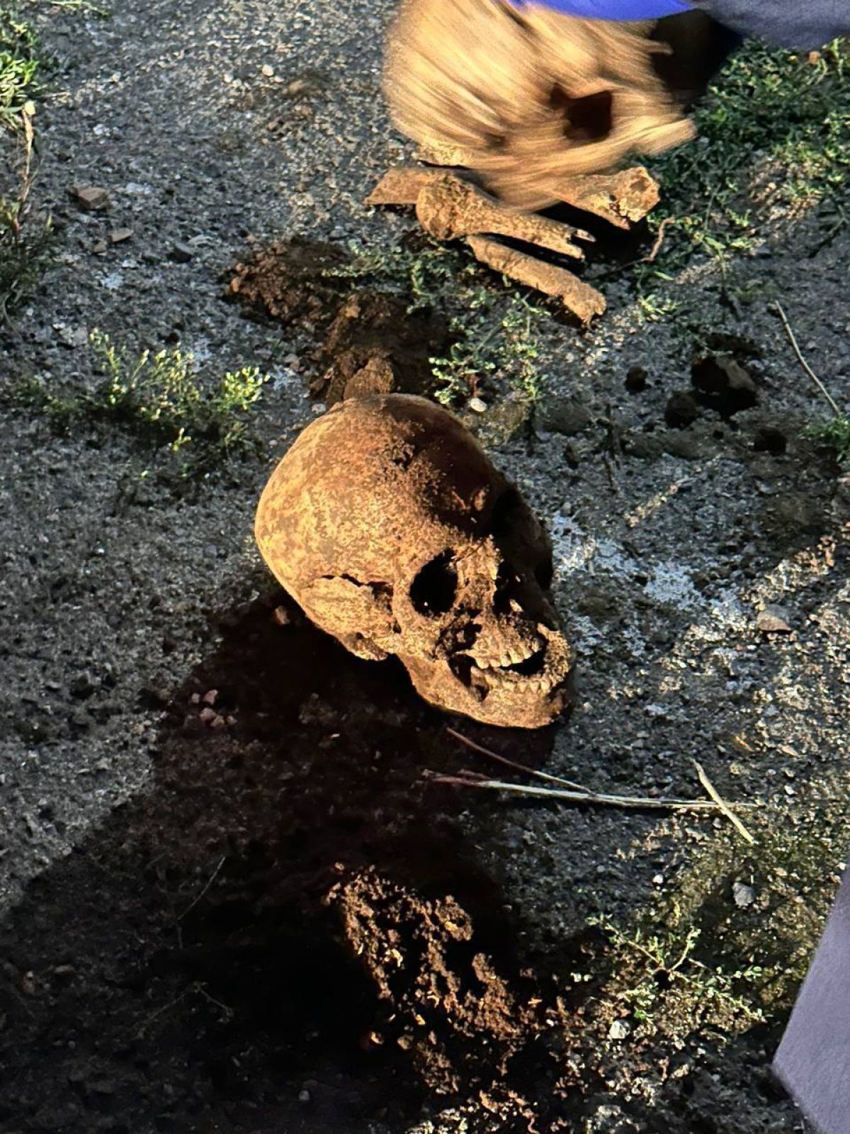 Человеческие останки нашли в Алматы