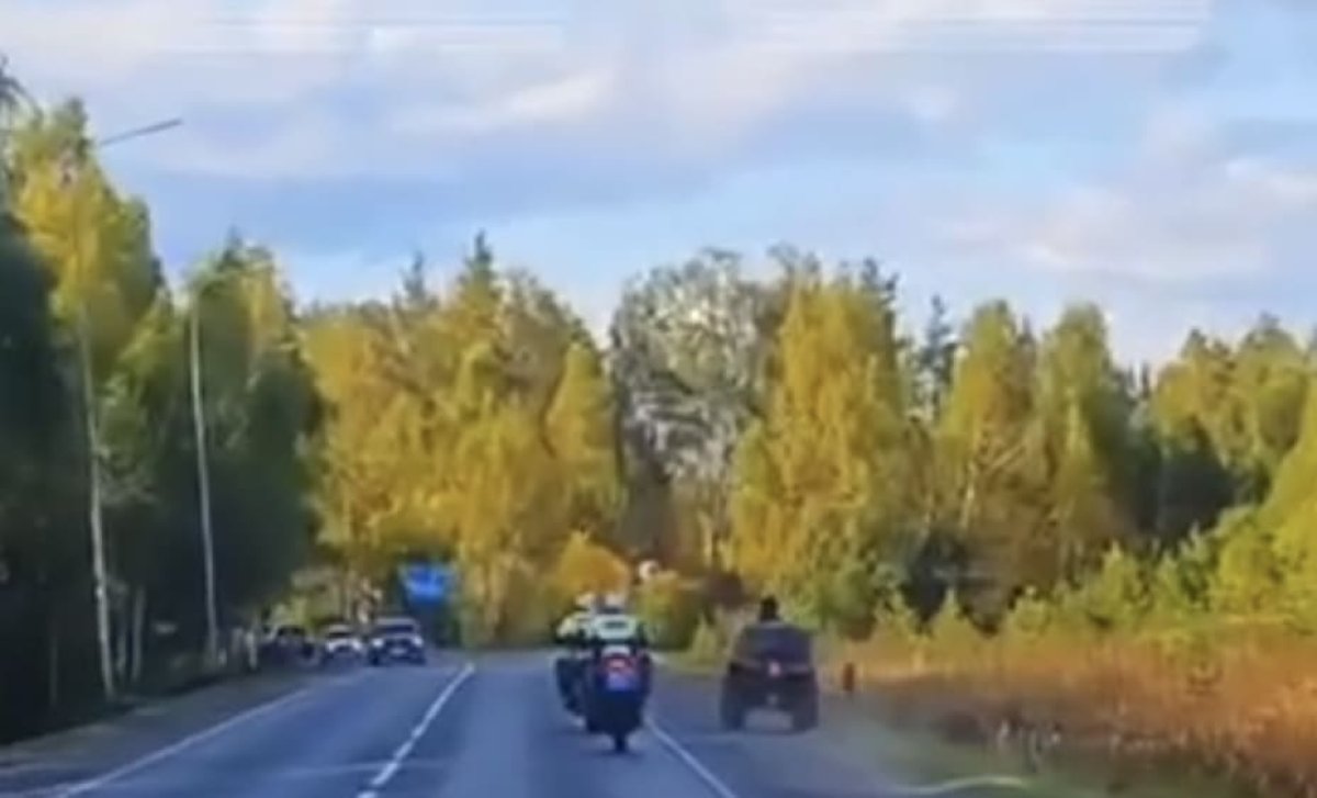 Школьник погиб, пытаясь уйти от полицейской погони