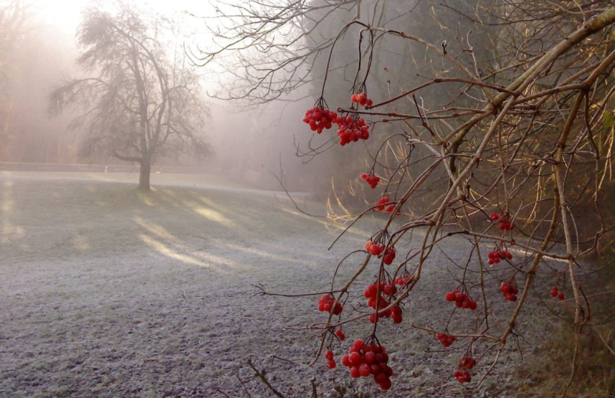 Заморозки и дожди: прогноз погоды в Казахстане на понедельник, 23 сентября