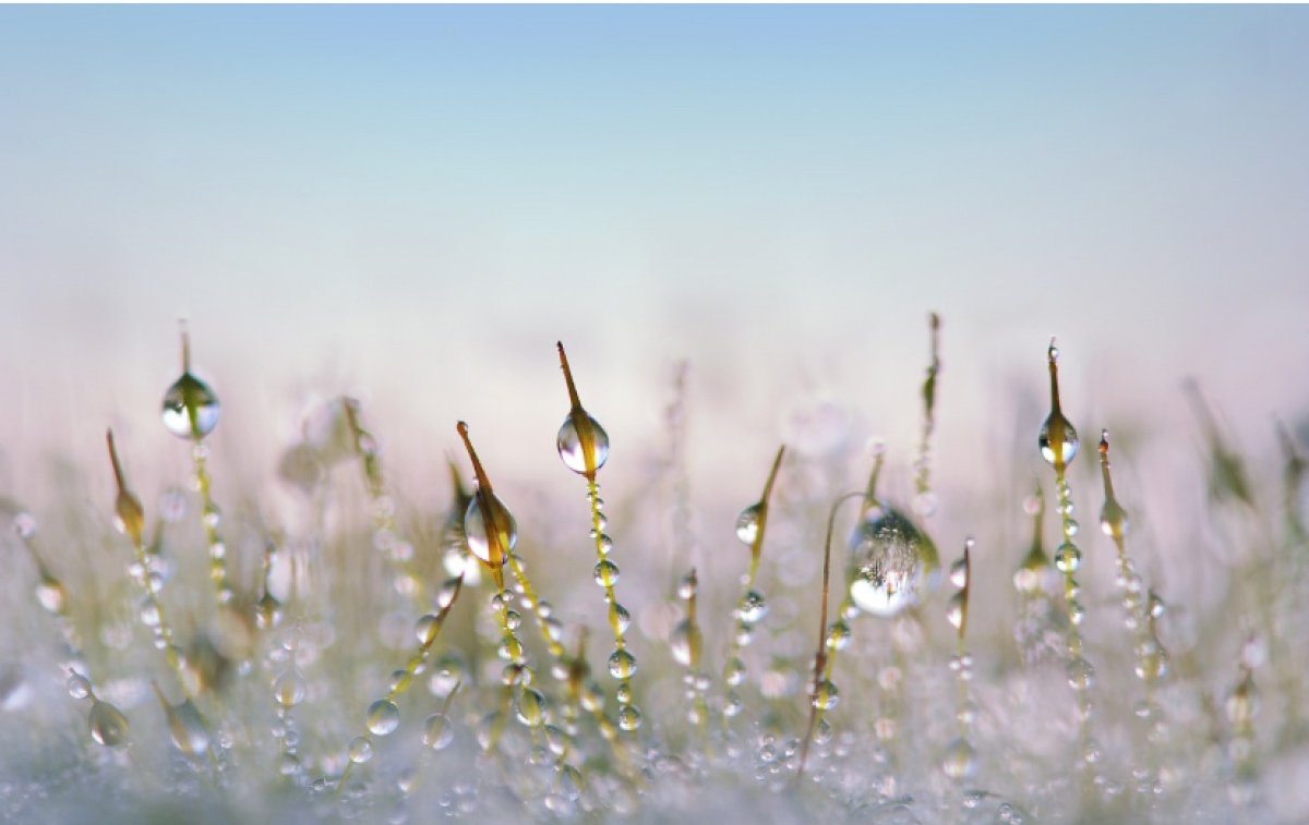 Заморозки и дожди ожидаются в мегаполисах Казахстана в субботу, 28 сентября