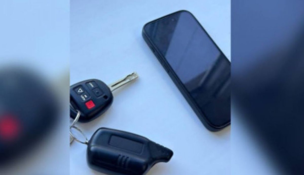 Жамбыл облысында көліктен ұрлық жасаған күдікті ұсталды