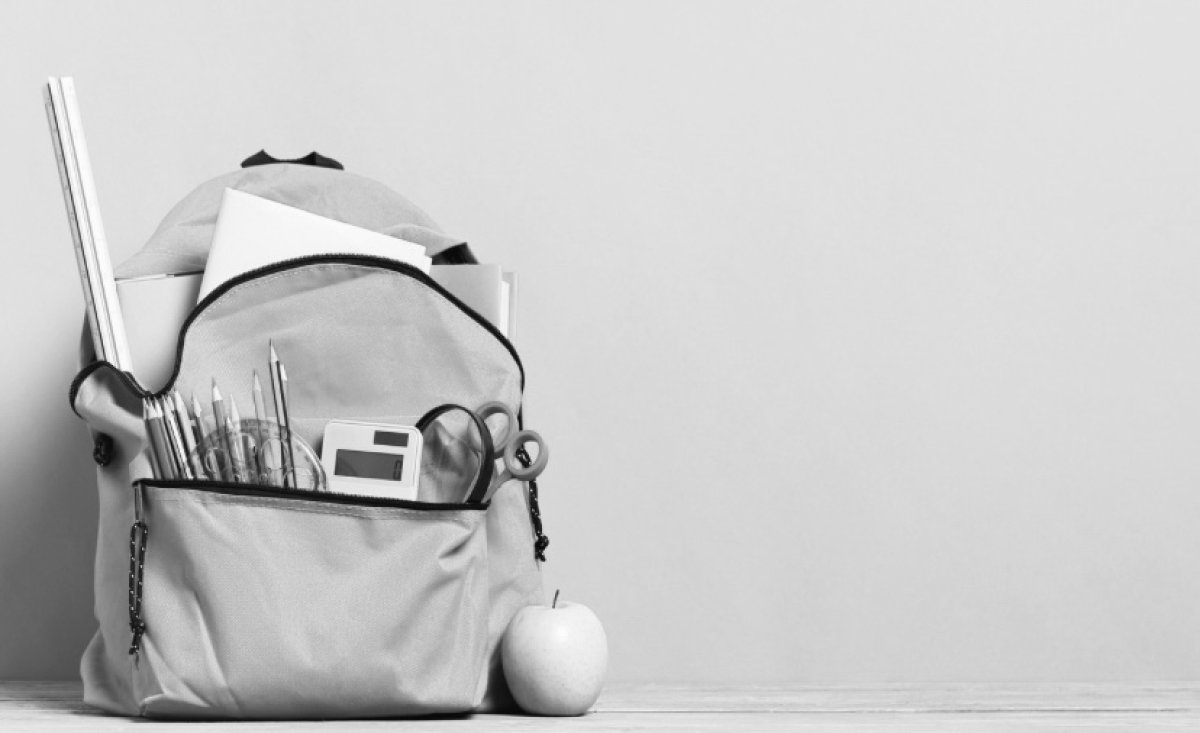 Учитель насмерть сбила семилетнюю девочку в Турции