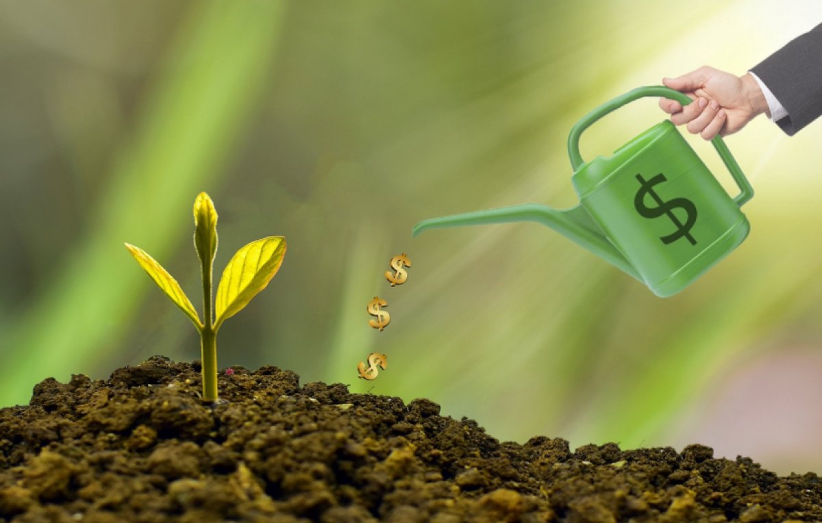 Тельцам удастся увеличить доход; Рыбам можно устроить праздник: гороскоп на 3 сентября