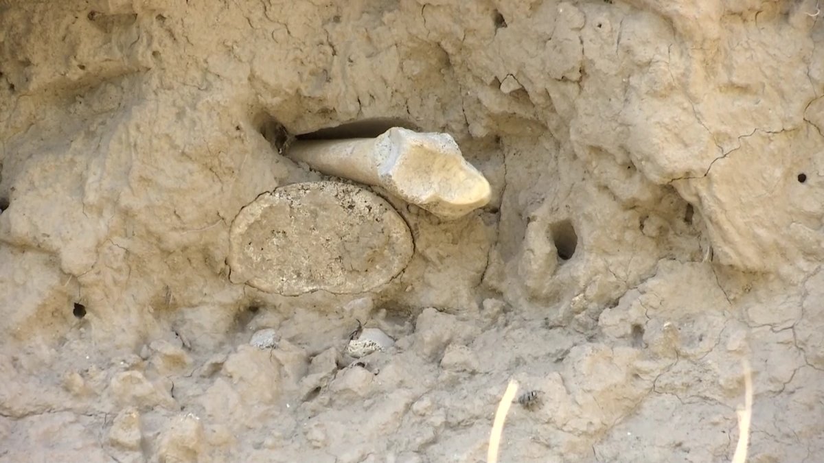 Алматыдағы Талғар қаласындағы айналма тас жол маңынан адам сүйектері табылуда