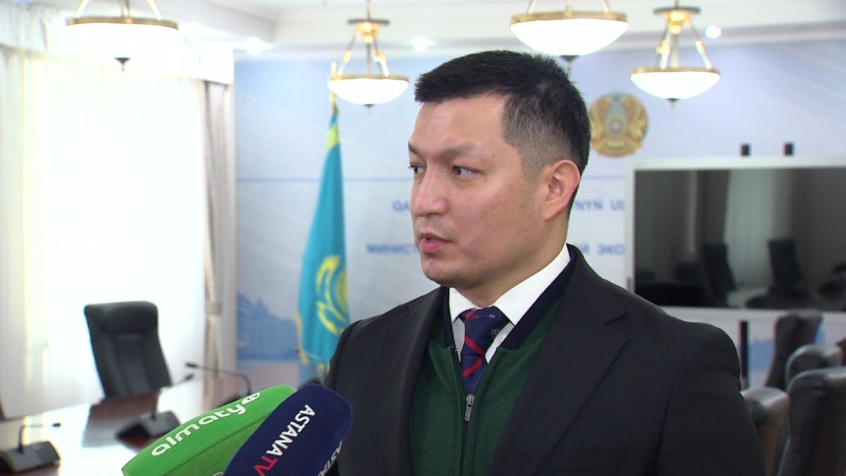 Государственные органы не будут штрафовать: в МНЭ РК рассказали какие меры после послания планируют применять к бизнесменам