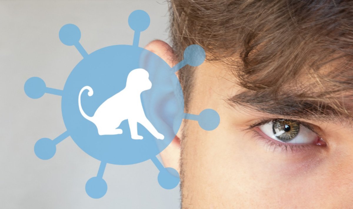 В Индии у пациента подозревают заражение оспой обезьян