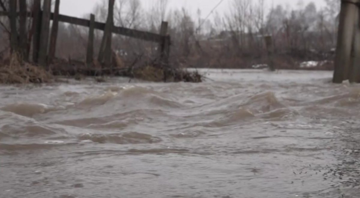 Нарушения в сфере госзакупок при ликвидации паводков выявили прокуроры в ВКО