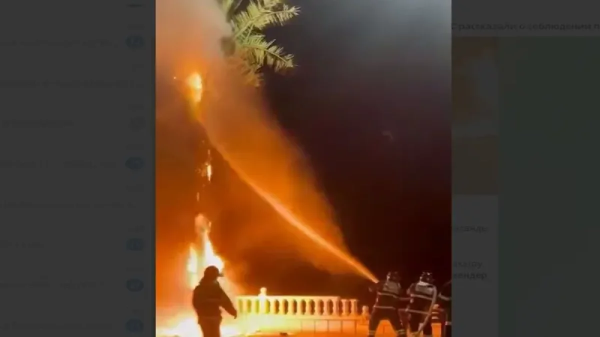 Ақтауда Жаңа жыл түні пальма өртенді