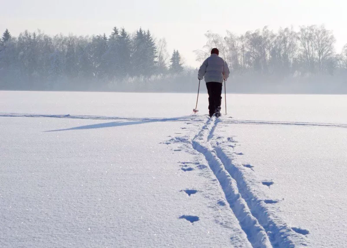 Метели и морозы до -27 на выходных обещают синоптики