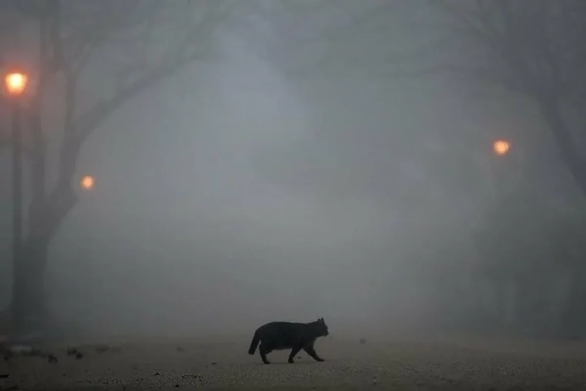 В Алматы гололёд, в Шымкенте +9: погода в мегаполисах в субботу, 11 января