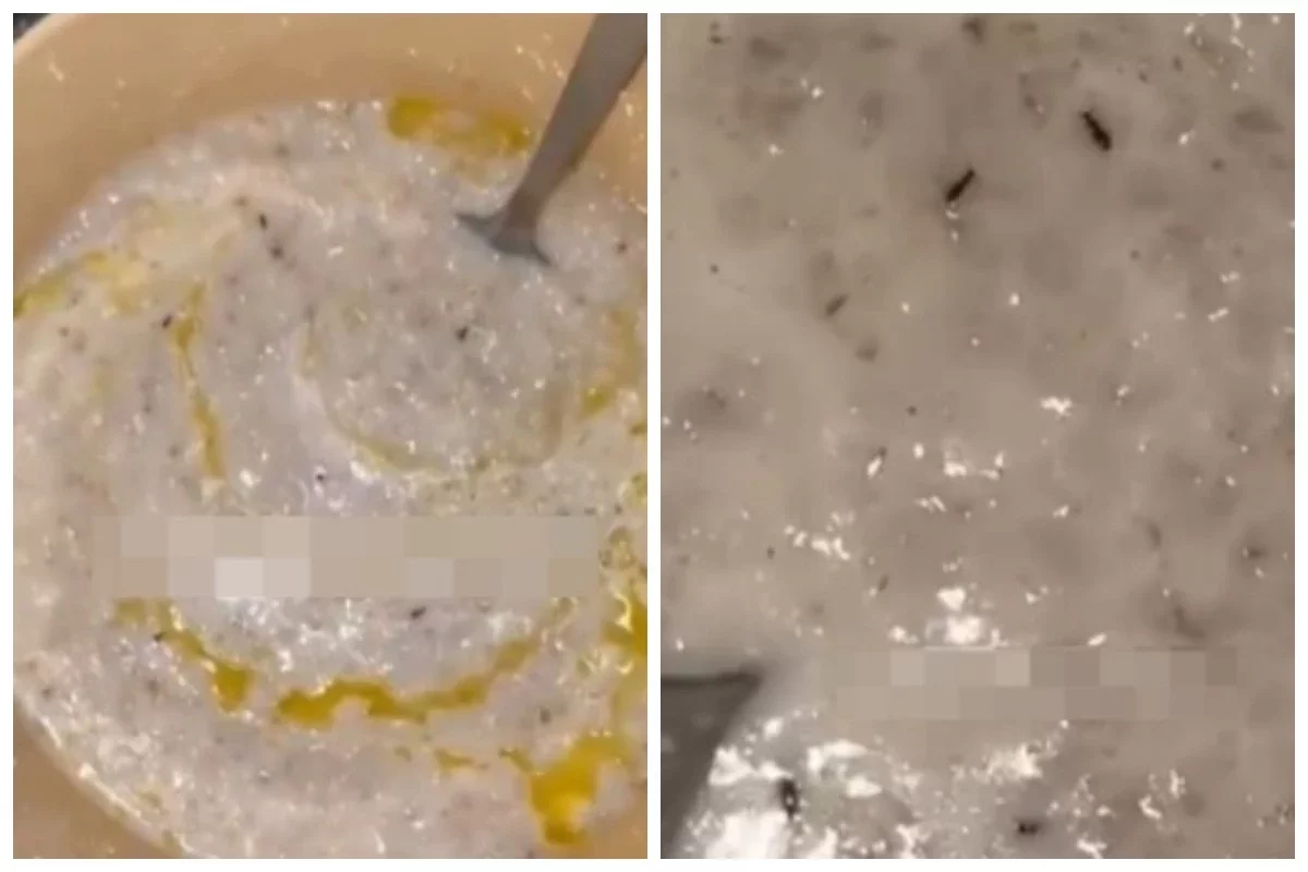 Ақтөбе облысындағы балабақшада балаларға таратылған ботқадан құрт шықты