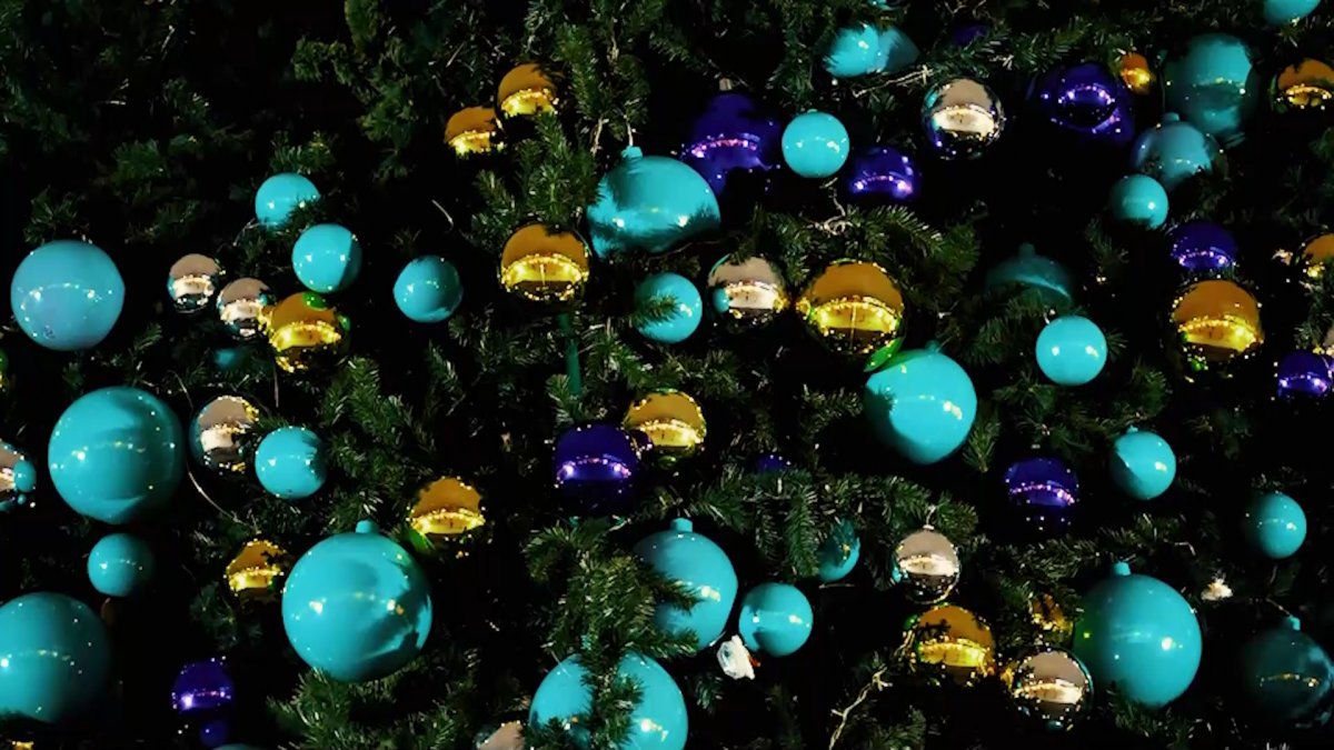 Новогодние ели в Астане отправят на корм для животных