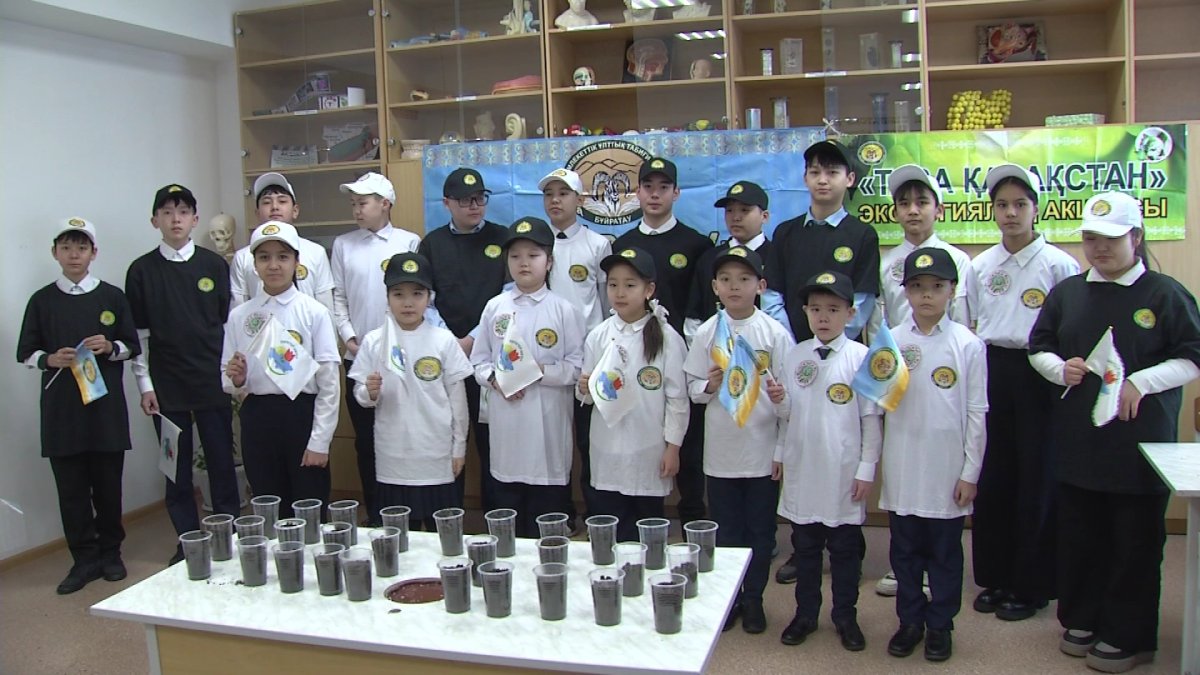 Ақмола облысы Ерейментау қаласындағы мектептерде  800  көшет егілді