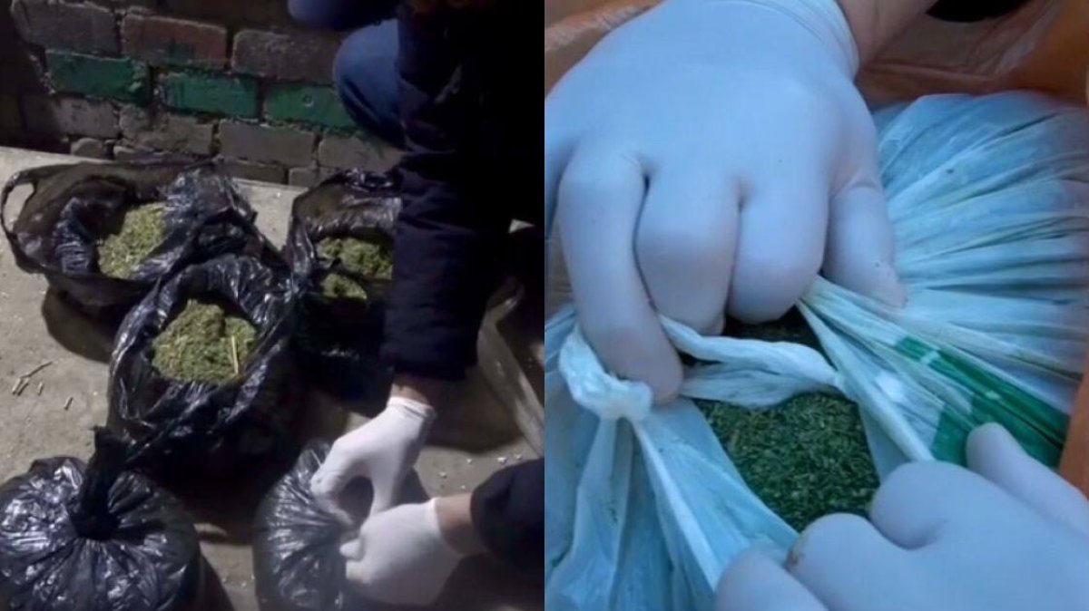 Марихуану на 12 млн тенге изъяли полицейские у актюбинца