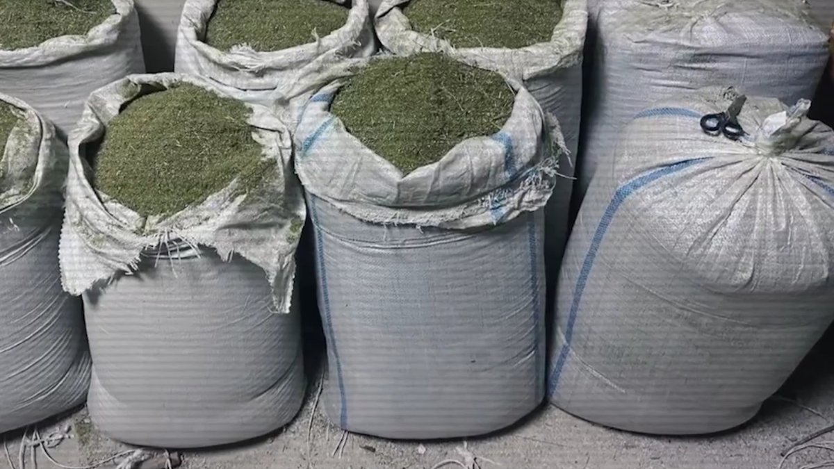 В Актау и Алматы ликвидированы каналы сбыта наркотических веществ