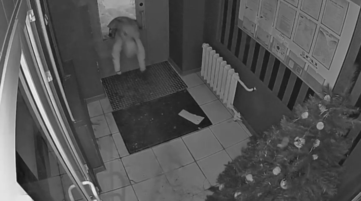 Мужчина в маске ограбил магазин в Усть-Каменогорске