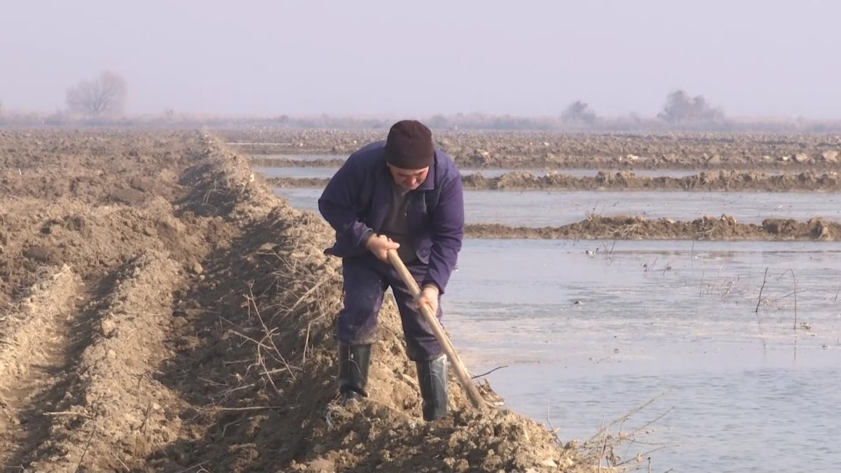 Жетісайлық шаруалар көмек сұрайды