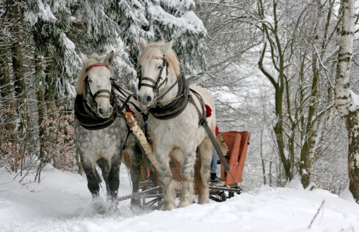 Метель, гололёд и сильный снег: штормовое предупреждение объявили почти по всему Казахстану