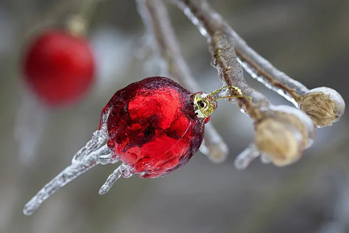 Штормовое предупреждение объявлено во всех 17 областях Казахстана в субботу, 18 января