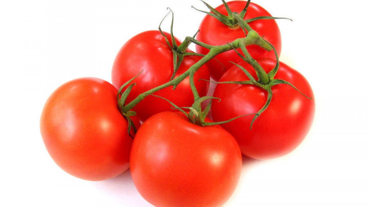 Қазақстандық қызанақ өндірушілер өнімдерін Ресейге экспорттай алады