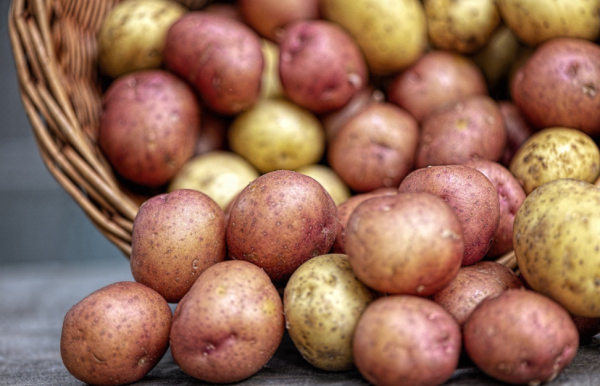 Запрет на вывоз картофеля в третьи страны ввёл Казахстан из-за скачка цен