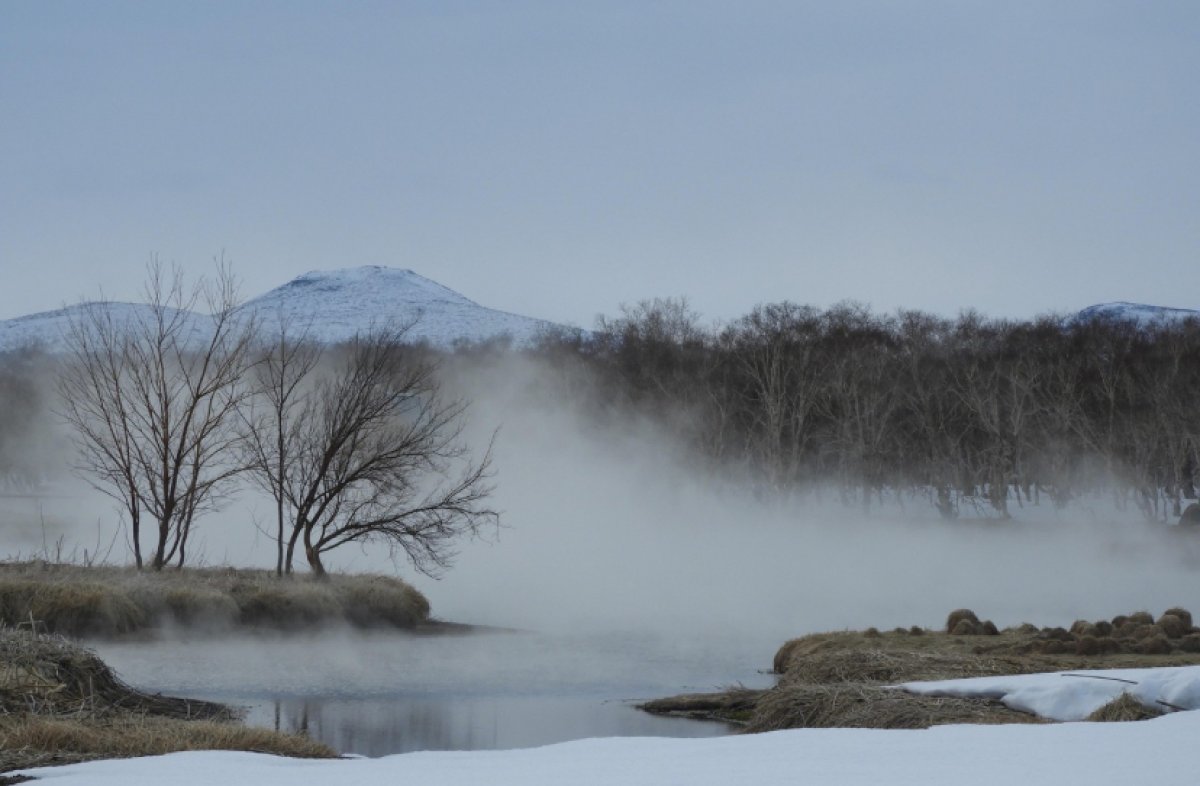 Гололёд, метели и туманы прогнозируют синоптики почти по всему Казахстану в понедельник, 20 января