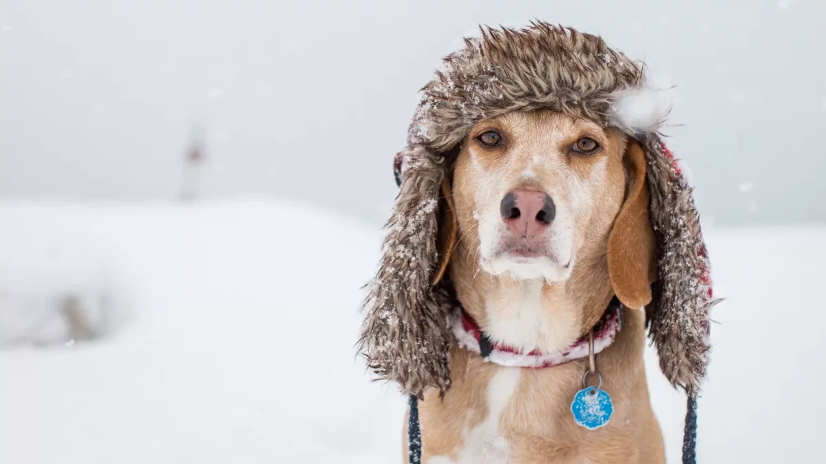 -35 на севере, -25 на юге: резкое похолодание прогнозирует «Казгидромет»
