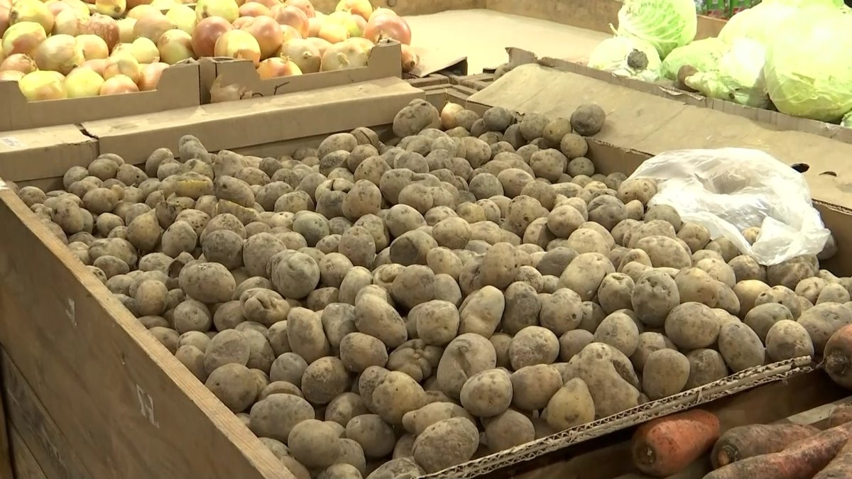 Ақтөбеде картоп тапшы