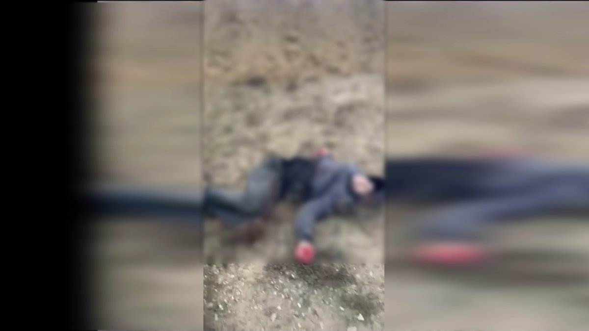 Маңғыстауда тапа-тал түсте оқушыны қаңғыбас ит талап тастады