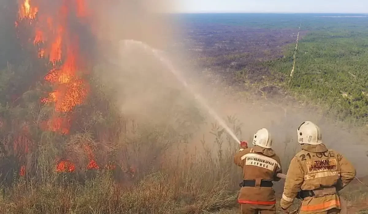 «Семей орманы» өрті: кінәлі азаматтар 7 жылға сотталды