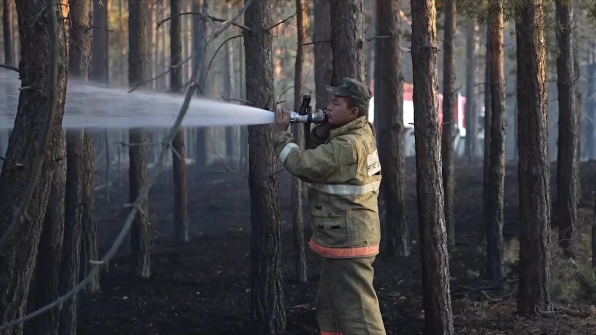 Орман өртіне кінәлілер сотталды