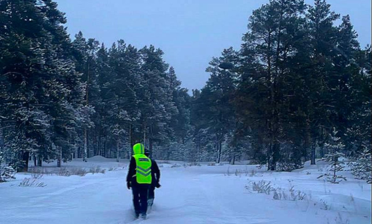 Лыжник потерялся в Абайском лесу во время метели