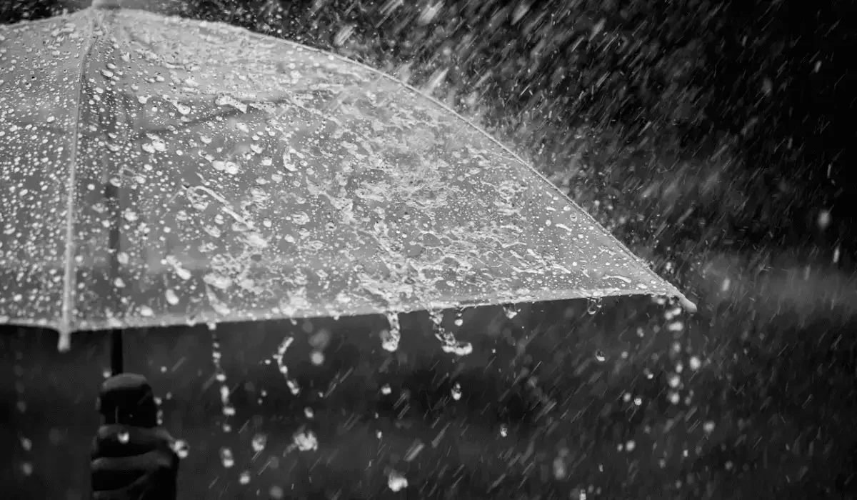 Жаңбыр салдарынан 18 адам қайтыс болды