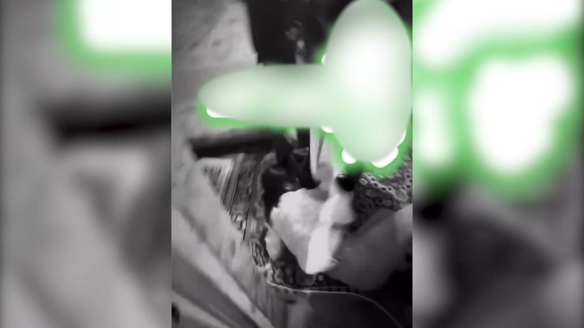 Уголовное дело завели на несовершеннолетнюю павлодарку за избиение подруги