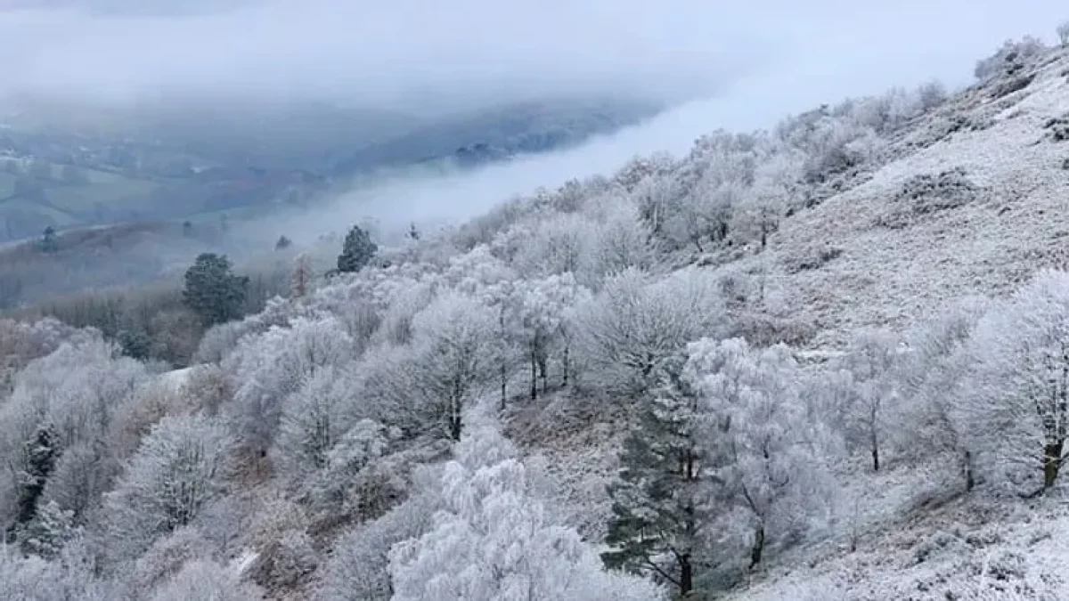 "Тұман, боран, көктайғақ". Синоптиктер еліміздің 14 өңірінде дауылды ескерту жариялады