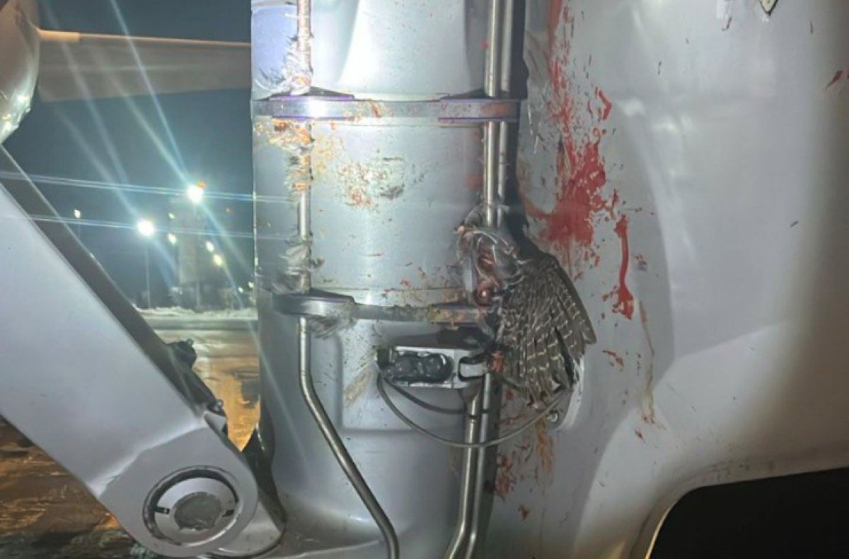 Самолёт столкнулся с птицей в аэропорту Уральска