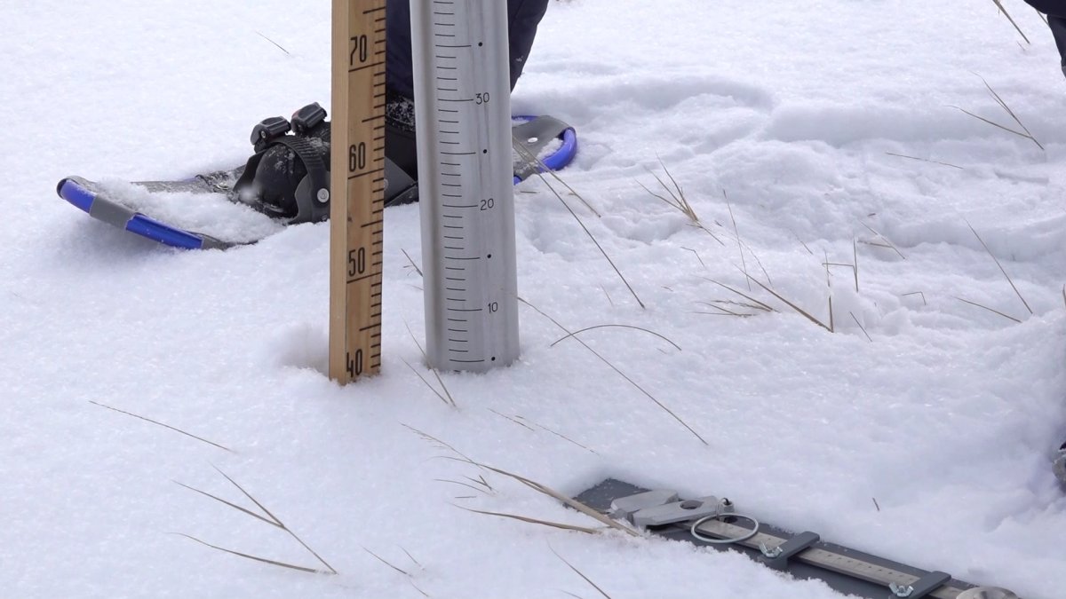 "СҚО-да биыл су тасқыны болады",-Қазгидромет