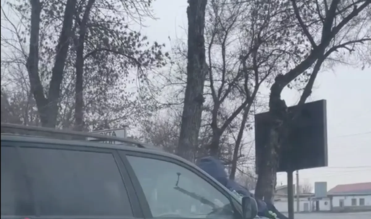 Шымкентте есірткіге мас адам полицейді сүйреп кетті: ол енді 12 жылға сотталуы мүмкін
