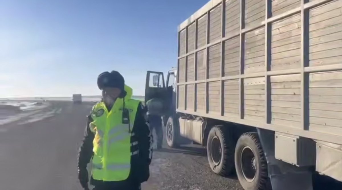 Три тонны щуки без документов изъяли у абайца