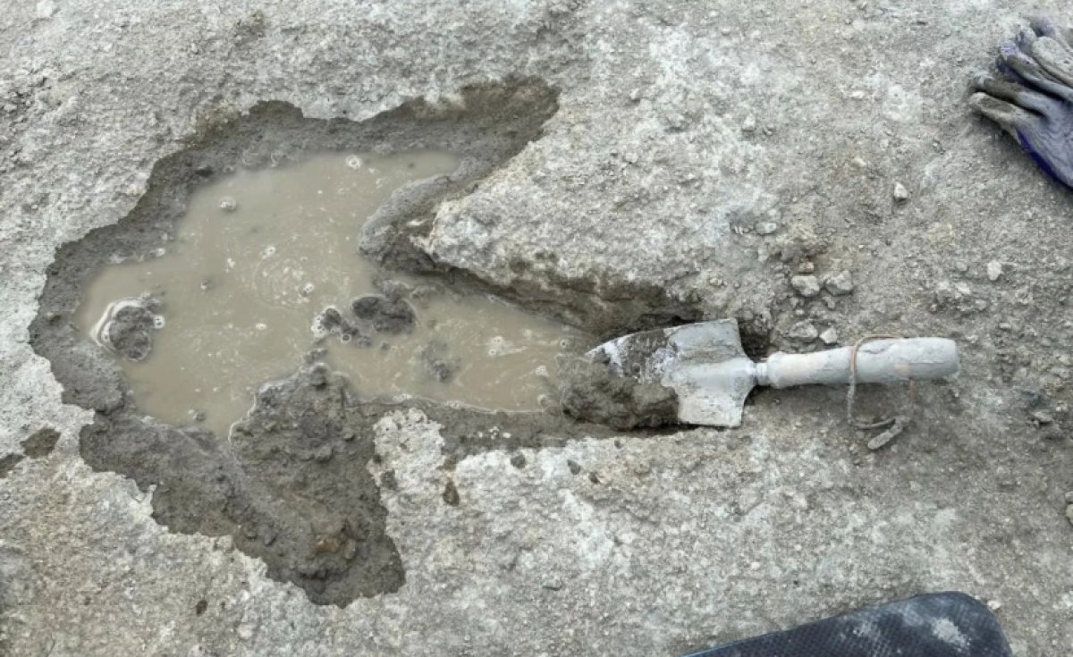 Шоссе динозавров обнаружили в Великобритании