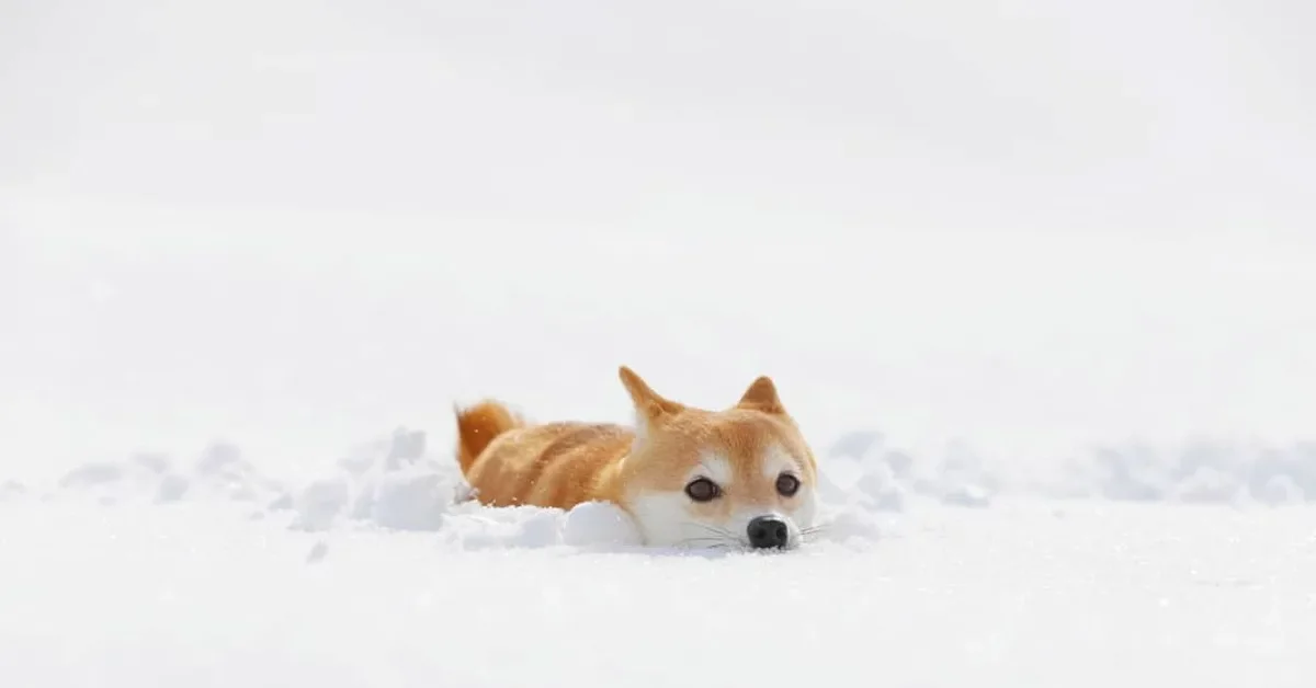 Резкую смену погоды прогнозируют синоптики