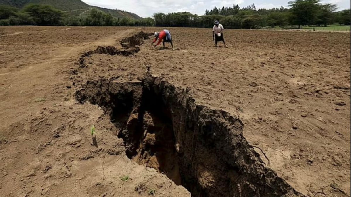 Африканский континент раскалывается на две части, - учёные