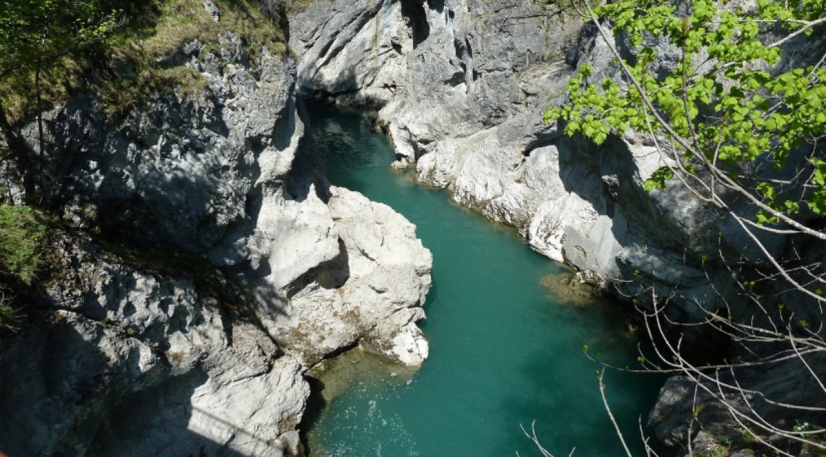 Туриста из России убили в Грузии