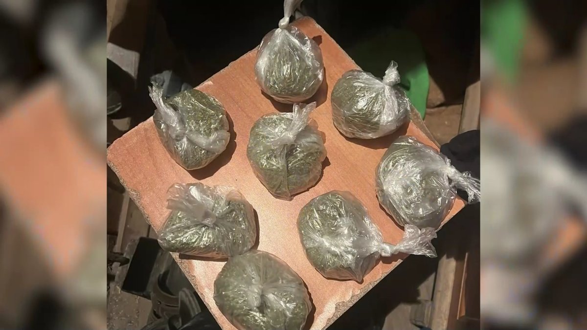 Қостанайда жеке кәсіпкер  жиһаз цехында есірткі сақтаған