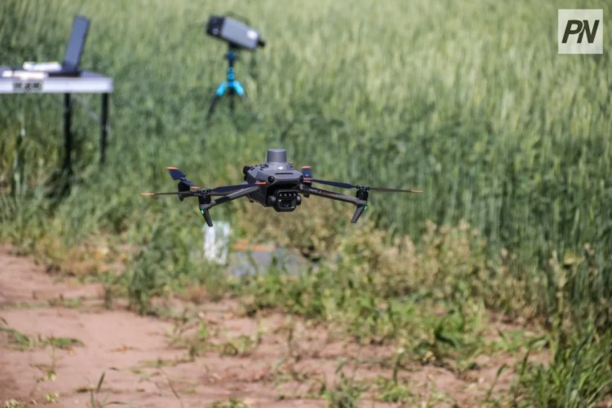 Павлодарлық ғалымдар астық ауруларын ерте анықтайтын жүйе әзірлеуде