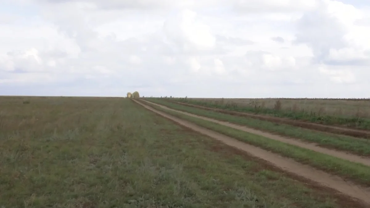 Павлодарда бос жатқан 132 мың гектар жер мемлекет меншігіне қайтарылды