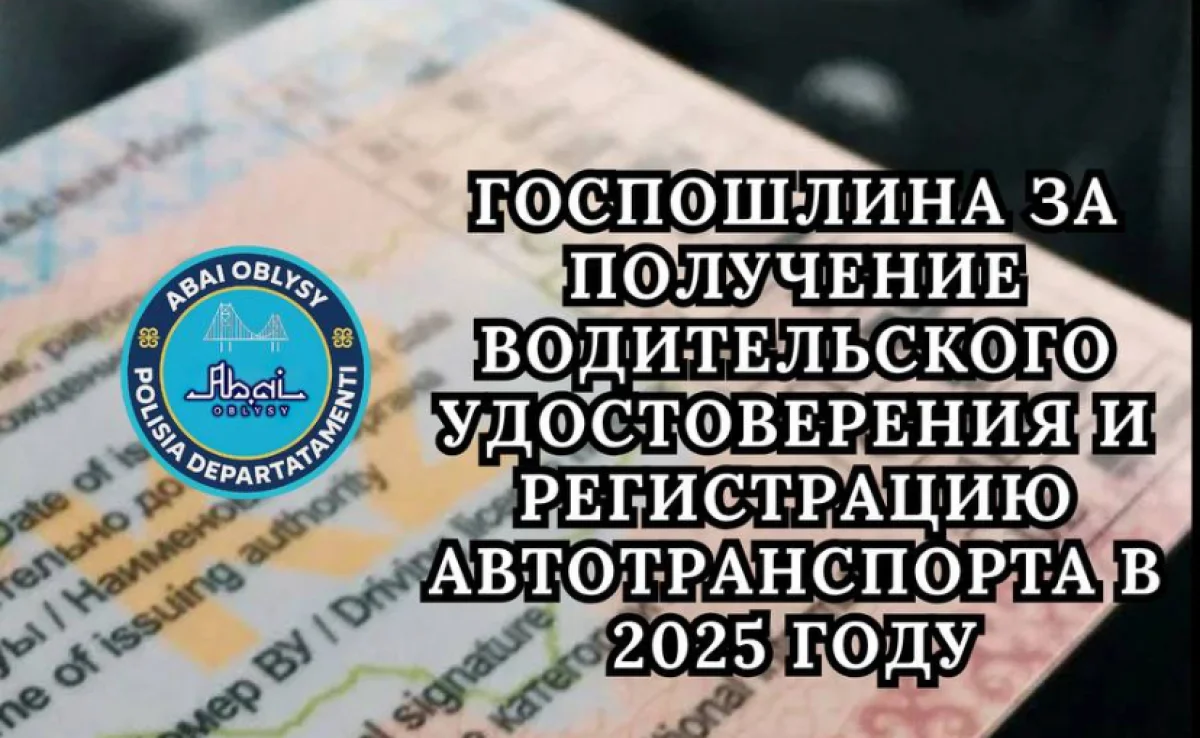 Сколько стоят водительские права в Казахстане?